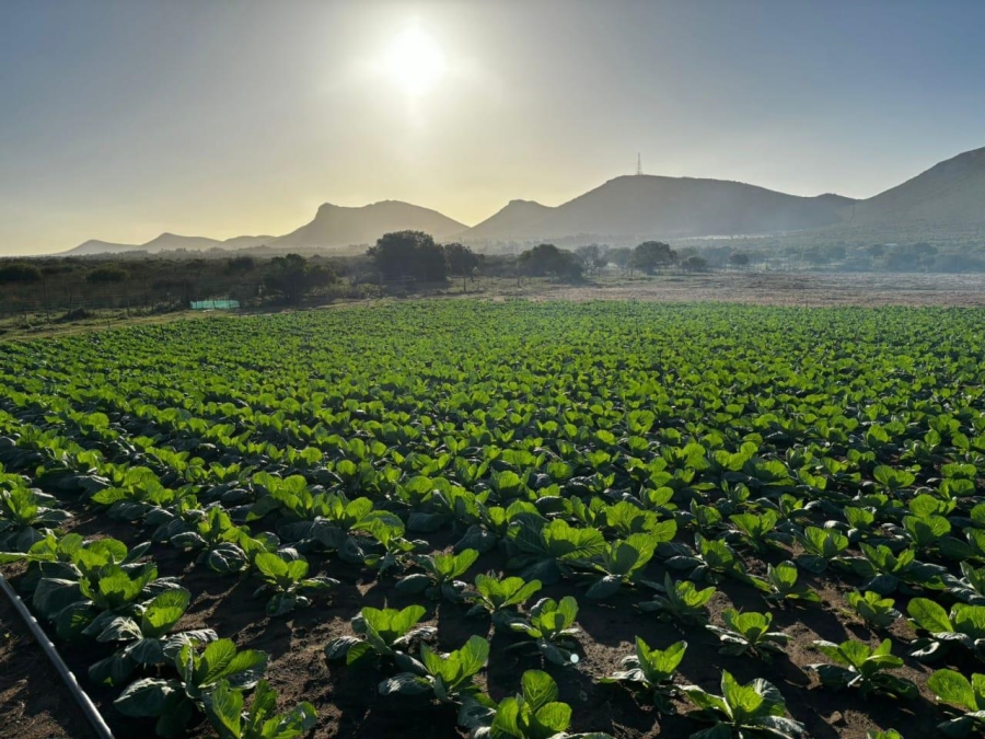 4 Bedroom Property for Sale in Gouritsmond Rural Western Cape